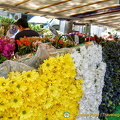 Impressive wall of flowers at Marché Président Wilson 